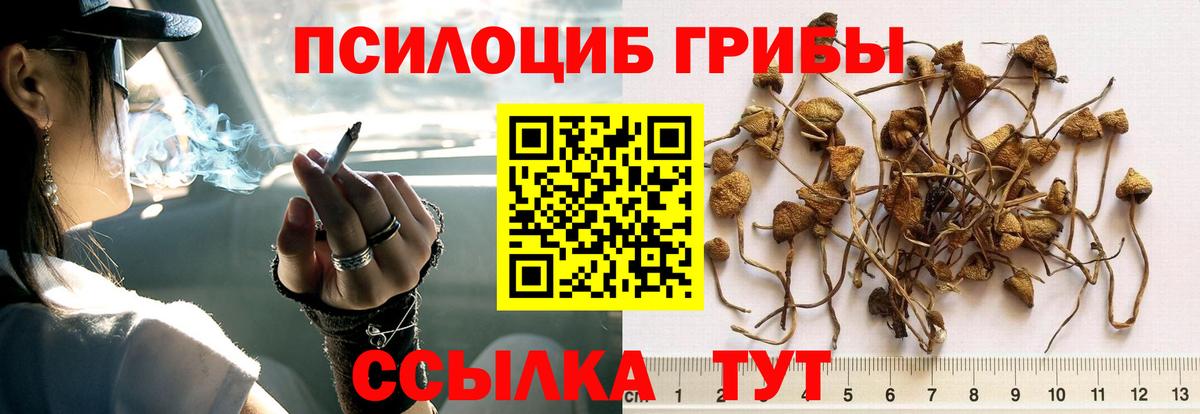 Зима  Псилоцибиновые грибы ЛСД  Вход с VPN 