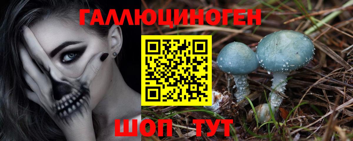 Псилоцибиновые грибы Magic Shrooms Зима
